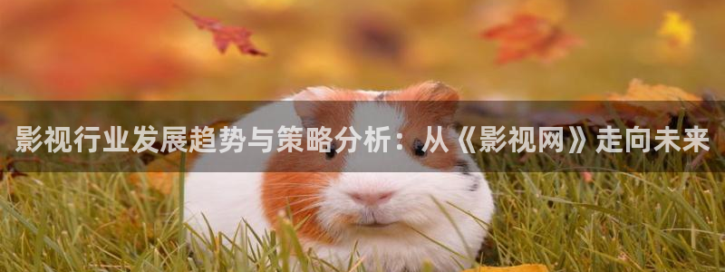 青丝在线观看免费高清电视剧：影视行业发展趋势与策略分析：从《影视网》走向未来