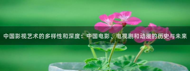 青丝影院免费观看电视剧高清在线播：中国影视艺术的多样性和深度：中国电影、电视剧和动漫的历史与未来